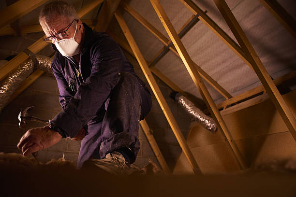 Best Geographic-Specific Insulation Services in Cranford, NJ